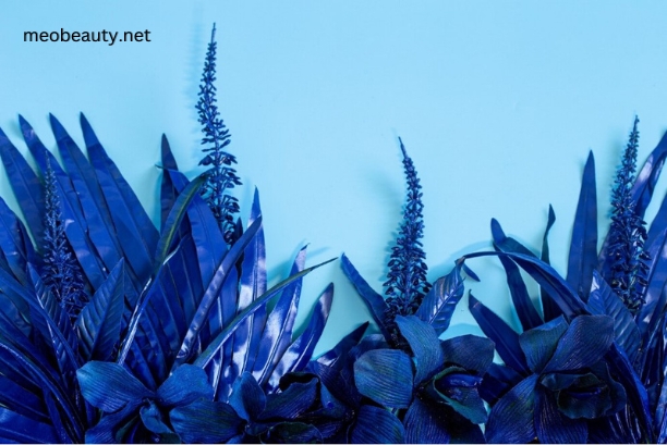 How to Use Blue Egyptian Plant for Skin Care