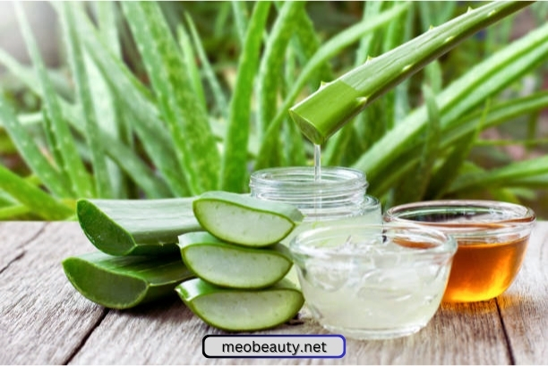 How to Make Skin Care With Aloe Vera – 3 Easy Ways