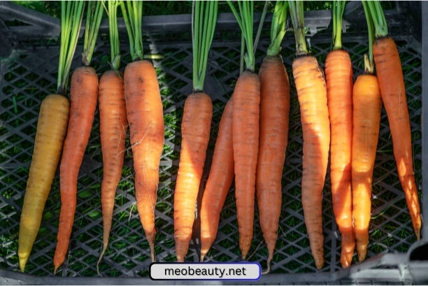 What are the benefits of carrot skin care at home?