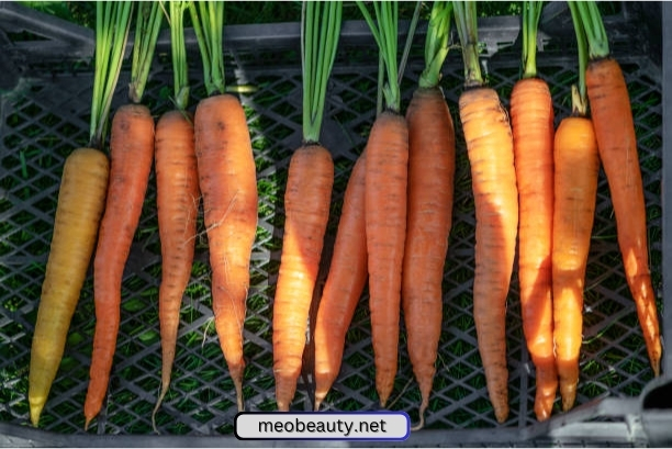 Yeri Mua Makeup What are the Benefits of Carrot for Skin Care