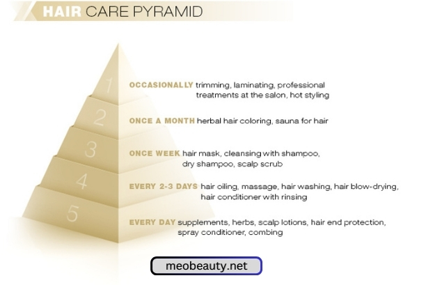 Theorem Hair Care Pyramid