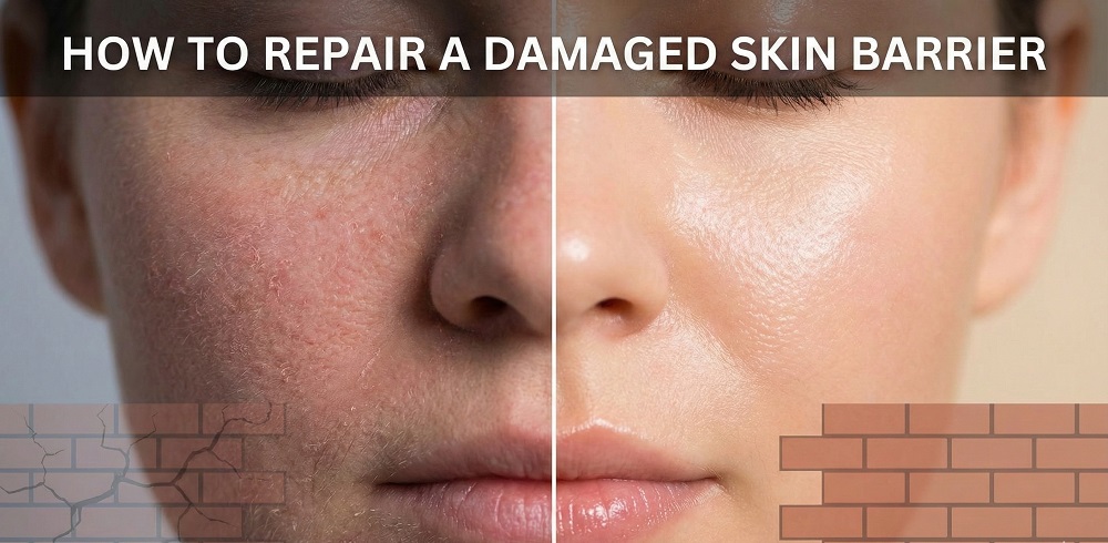 How to Repair a Damaged Skin Barrier: The Ultimate Reset Guide